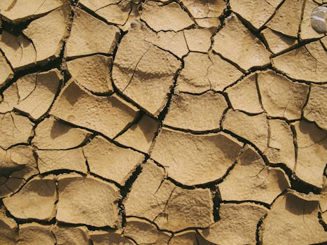 Close-up of cracked, dry soil conveying the harshness of arid desert conditions.